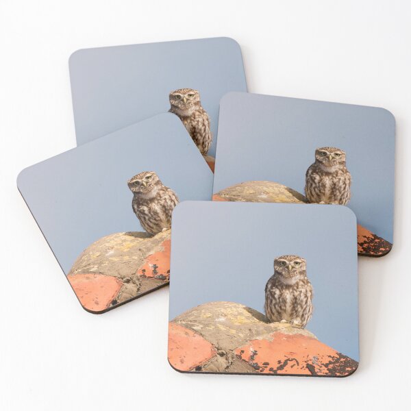 Item preview, Little Owl On Barn Roof designed and sold by Scott-Tilley Photography.