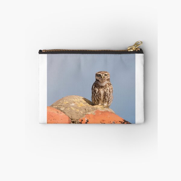 Item preview, Little Owl On Barn Roof designed and sold by Scott-Tilley Photography.