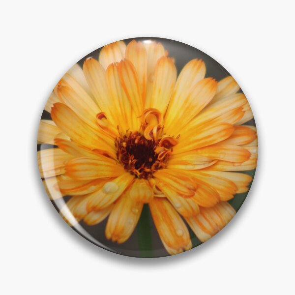 Item preview, Calendula designed and sold by MelittArt.