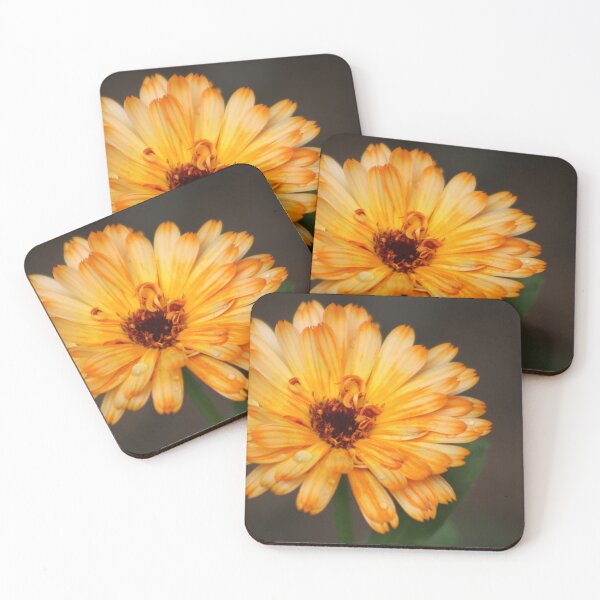 Item preview, Calendula designed and sold by MelittArt.