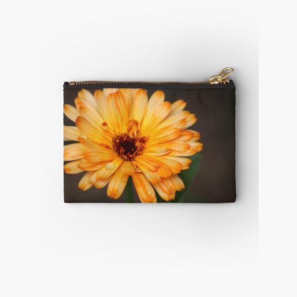 Item preview, Calendula designed and sold by MelittArt.