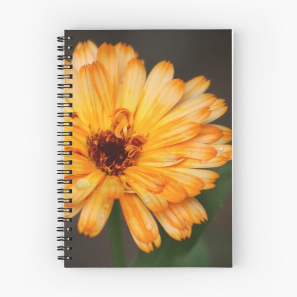 Item preview, Calendula designed and sold by MelittArt.