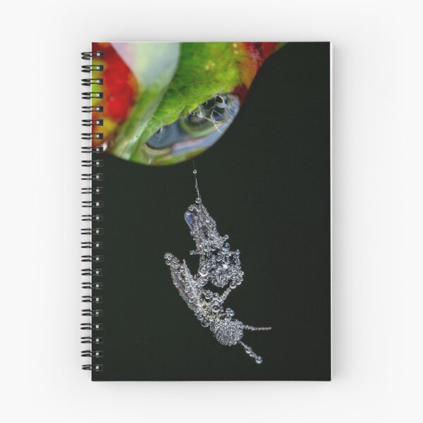 Item preview, Diamond Suspended – Dew-Covered Midges on Spider Silk, Bristol, England designed and sold by Johnathan Robinson Photography.