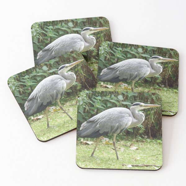 Item preview, Stalking Grey Heron Photograph designed and sold by naturegallery.