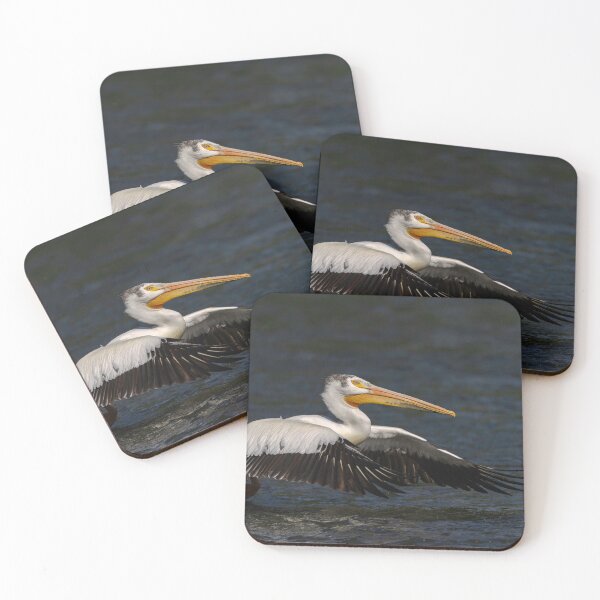 Item preview, White Pelican Taking Flight 6-7-2026 designed and sold by Thomasyoung.