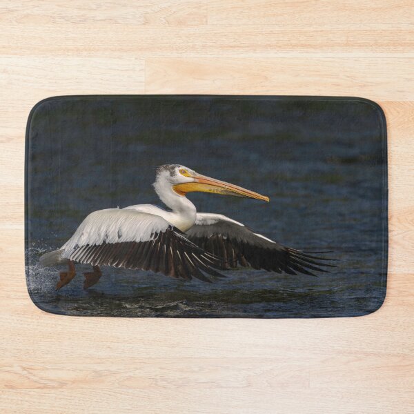 Item preview, White Pelican Taking Flight 6-7-2026 designed and sold by Thomasyoung.
