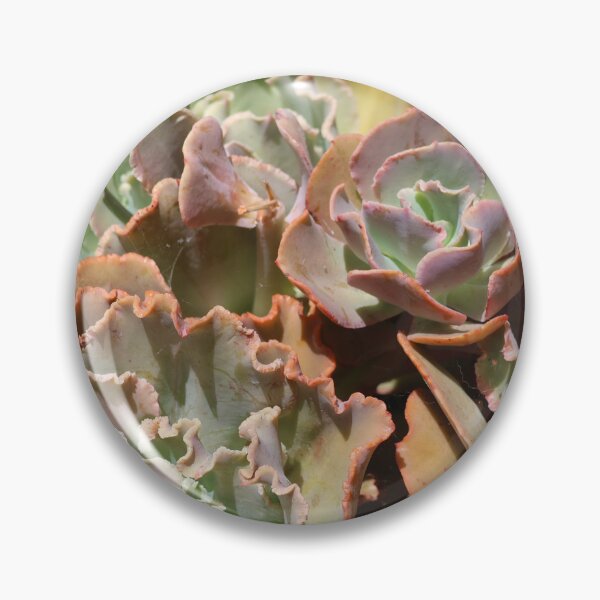 Item preview, Blue Curly Succulent bouquet designed and sold by Patti Melfi.