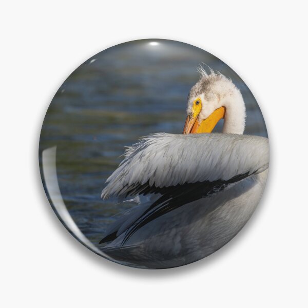 Item preview, White Pelican Preening 6-7-2026 designed and sold by Thomasyoung.