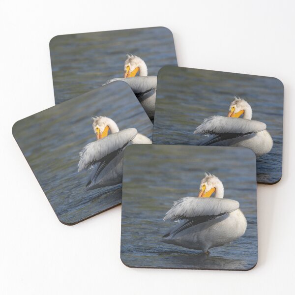 Item preview, White Pelican Preening 6-7-2026 designed and sold by Thomasyoung.