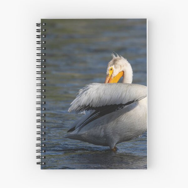 Item preview, White Pelican Preening 6-7-2026 designed and sold by Thomasyoung.