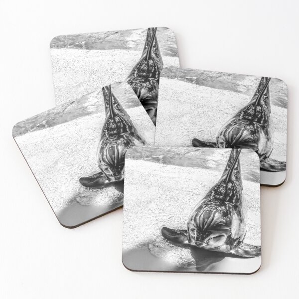 Item preview, Black-and-white close-up capture of dolphin.  designed and sold by momentscapturedbymelanie.