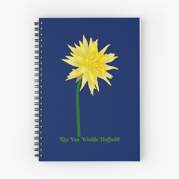 Item preview, Rip Van Winkle Daffodil(Narcissus 'Rip van Winkle') designed and sold by Floralfusion.