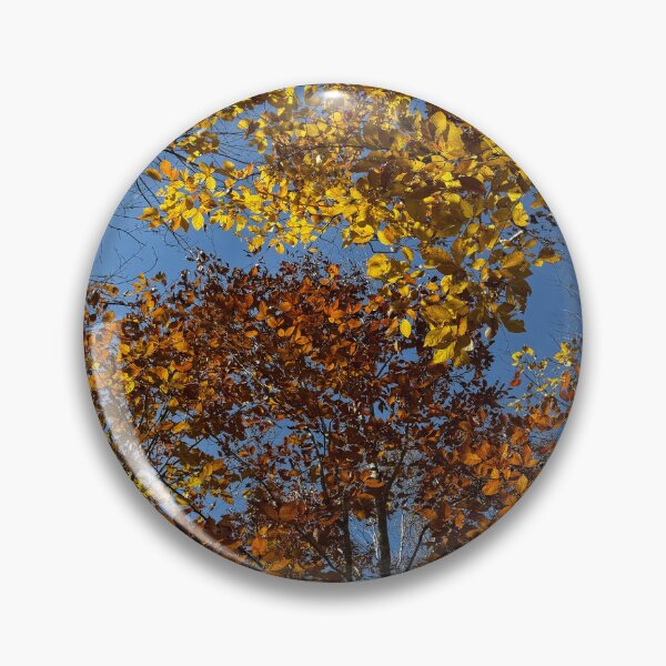 Item preview, Autumn Leaves designed and sold by Photography by Annette.
