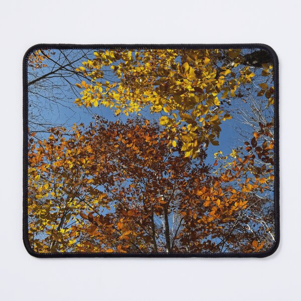 Item preview, Autumn Leaves designed and sold by Photography by Annette.