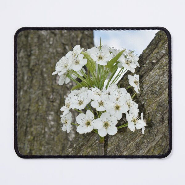 Item preview, Spring Blossoms designed and sold by Kathleen Brant.