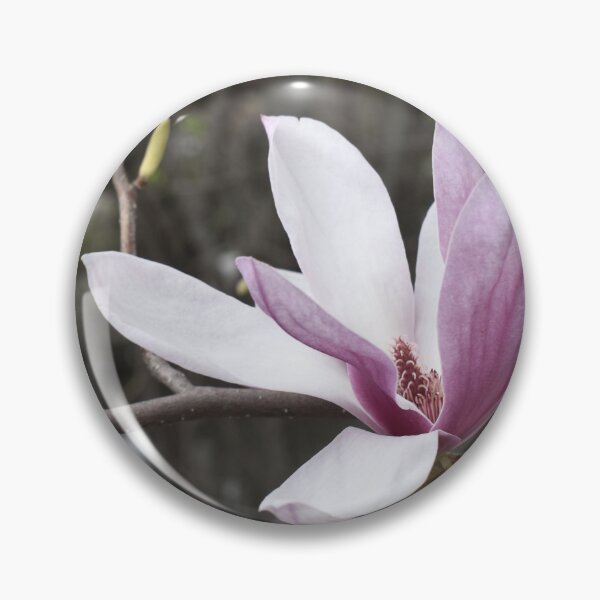 Item preview, One Saucer Magnolia blossom designed and sold by Kathleen Brant.