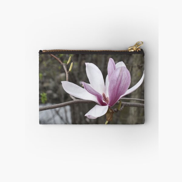 Item preview, One Saucer Magnolia blossom designed and sold by Kathleen Brant.