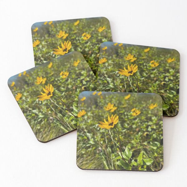 Item preview, Dune Sunflower by the Shore designed and sold by Photography by Annette.