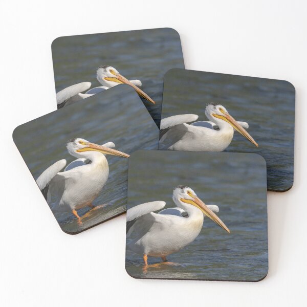 Item preview, White Pelican Stretching Wings 6-7-2026 designed and sold by Thomasyoung.