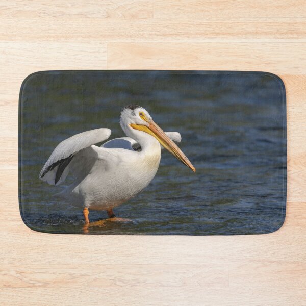 Item preview, White Pelican Stretching Wings 6-7-2026 designed and sold by Thomasyoung.
