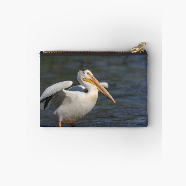 Item preview, White Pelican Stretching Wings 6-7-2026 designed and sold by Thomasyoung.