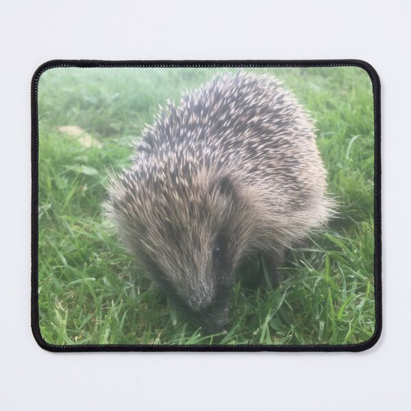Item preview, Cotswold Countryside 28 designed and sold by Pretty Cotswold Designs.