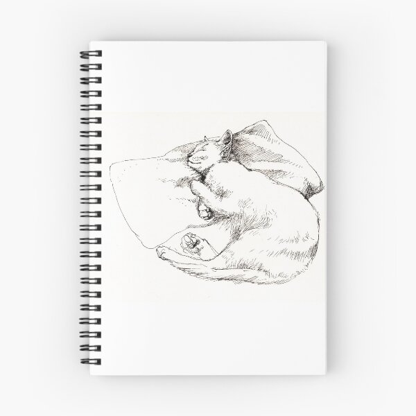 Item preview, Chang snoozing designed and sold by Roz McQuillan Fine Art & Photography.