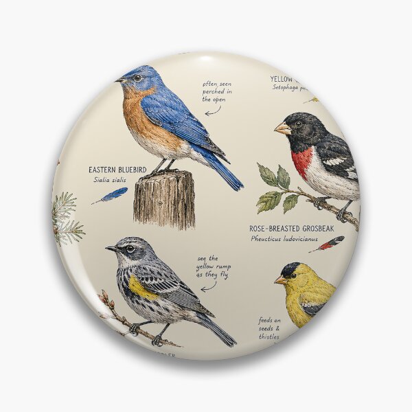 Item preview, North American Songbirds – Vintage Naturalist Field Guide Birdwatching Illustration designed and sold by DiamondSkyShirt.