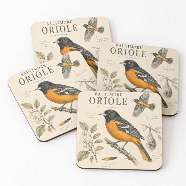 Item preview, Baltimore Oriole – Vintage Naturalist Bird Illustration | Retro Field Guide Style Songbird Art designed and sold by DiamondSkyShirt.