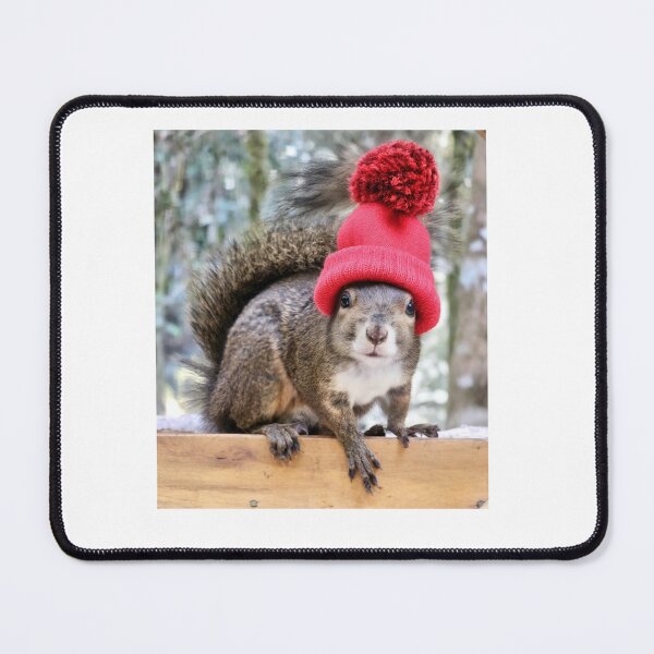 Item preview, Squirrel in cap designed and sold by CristianoArt.