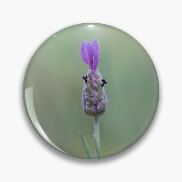 Item preview, Lavender Bunny designed and sold by InNature.