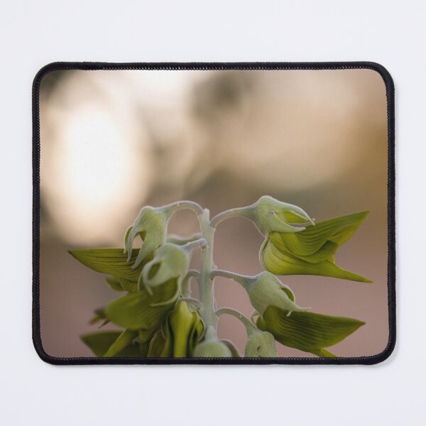 Item preview, The Bird Flower WA designed and sold by InNature.
