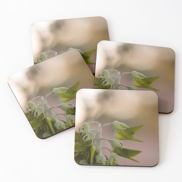 Item preview, The Bird Flower WA designed and sold by InNature.