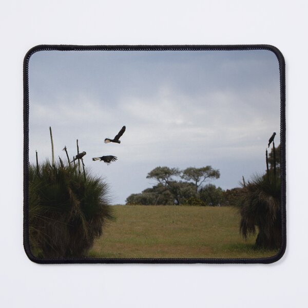 Item preview, Carnaby in flight designed and sold by InNature.