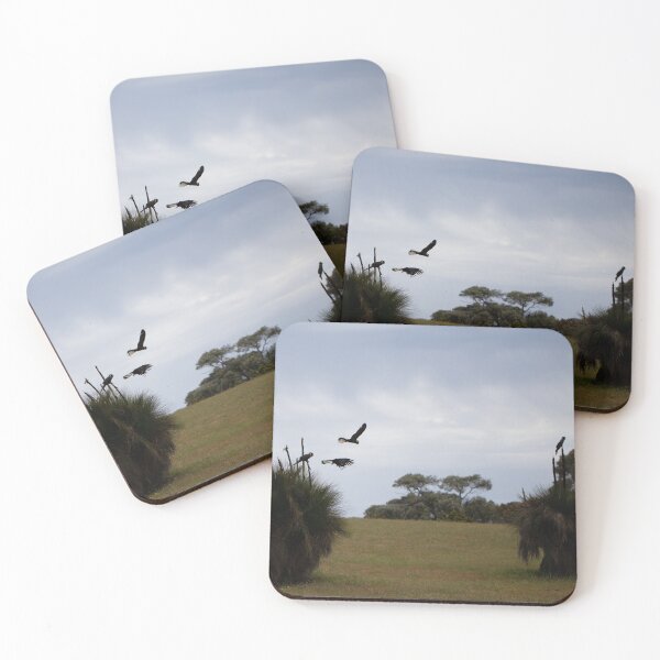 Item preview, Carnaby in flight designed and sold by InNature.