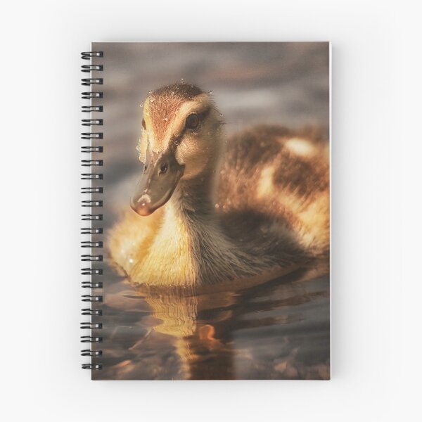 Item preview, Water drops on duckling designed and sold by Yannik Hay.
