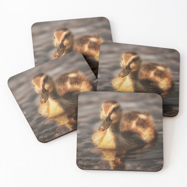 Item preview, Water drops on duckling designed and sold by Yannik Hay.