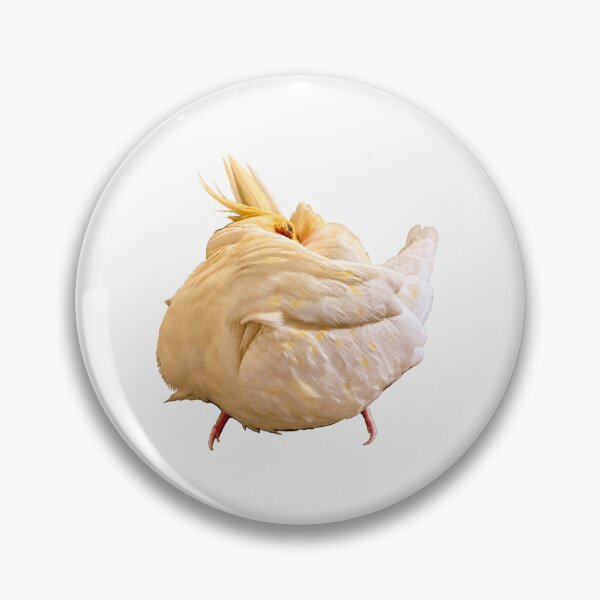 Aperçu de l'œuvre Autocollant mignon pour oiseau zen cockatiel créée et vendue par limoobird.