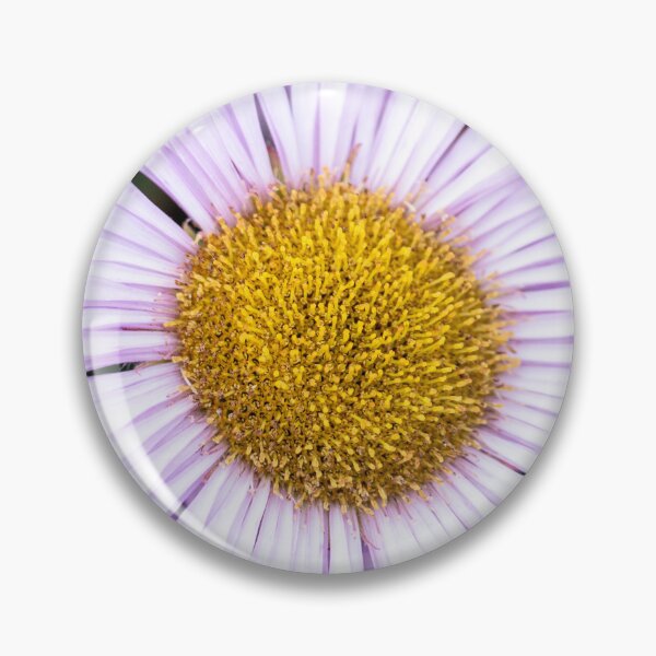 Item preview, Purple Fleabane Daisy in Bloom — Erigeron, Leamington Spa designed and sold by Feathers-Fur.