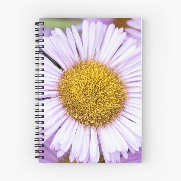 Item preview, Purple Fleabane Daisy in Bloom — Erigeron, Leamington Spa designed and sold by Feathers-Fur.