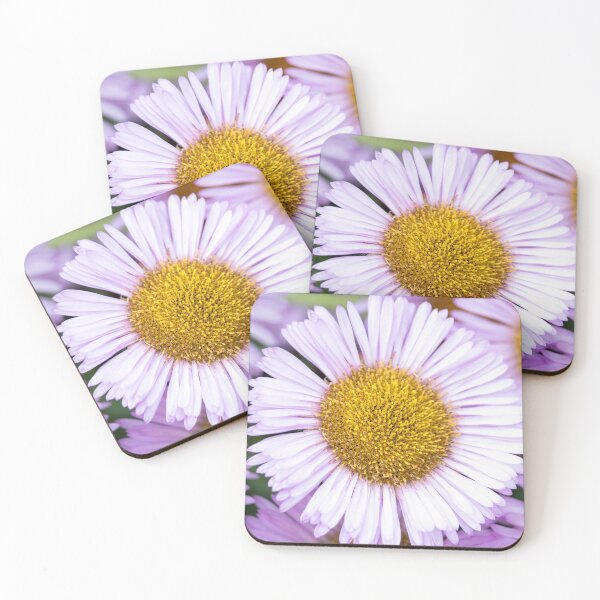Item preview, Purple Fleabane Daisy in Bloom — Erigeron, Leamington Spa designed and sold by Feathers-Fur.