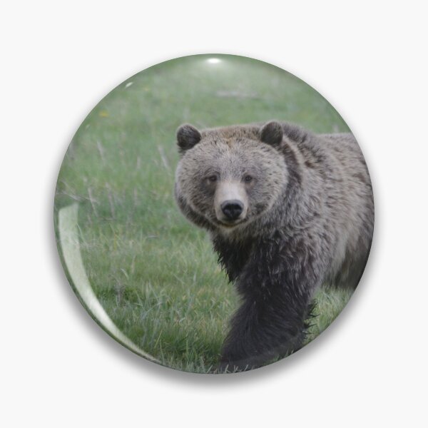Item preview, Grizzly Bear Montana designed and sold by Whisperingpeaks.