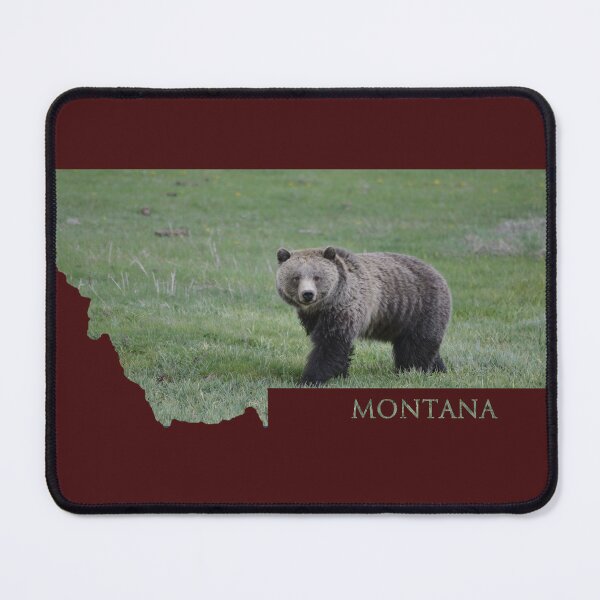 Item preview, Grizzly Bear Montana designed and sold by Whisperingpeaks.