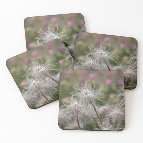 Item preview, Pasque Flower Dreams — Pulsatilla Seed Heads, Jephson Gardens designed and sold by Feathers-Fur.