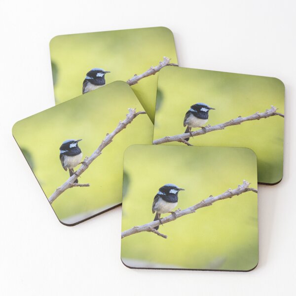 Item preview, Superb Fairywren | Australian Wildlife Print designed and sold by BBoltPhotos.
