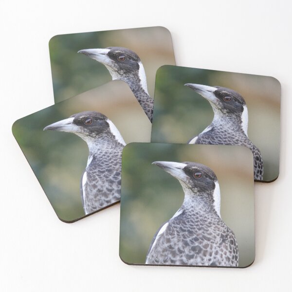 Item preview, Juvenile Australian Magpie Close Up Portrait designed and sold by 27Tammy27.