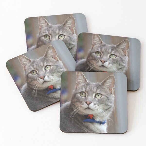 Item preview, Grey Tabby Cat Portrait with Blue Collar designed and sold by 27Tammy27.
