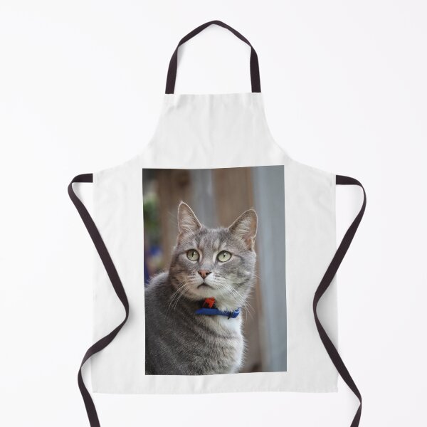 Item preview, Grey Tabby Cat Portrait with Blue Collar designed and sold by 27Tammy27.