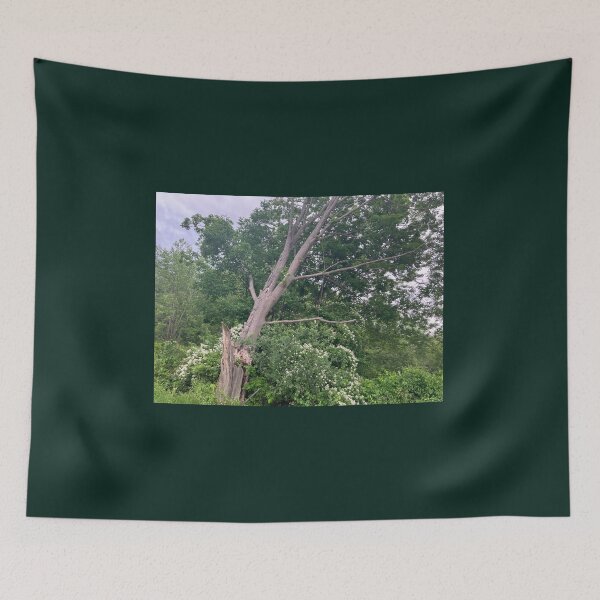 Item preview, Broken but Alive  designed and sold by Amanda1775.