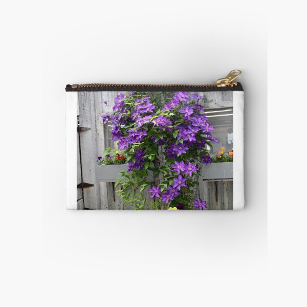 Item preview, BEAUTIFUL PURPLE CLEMATIS designed and sold by Pauline Evans.